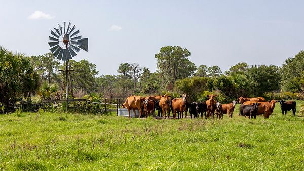 ESAP2019-R2-FL_2842.jpg
